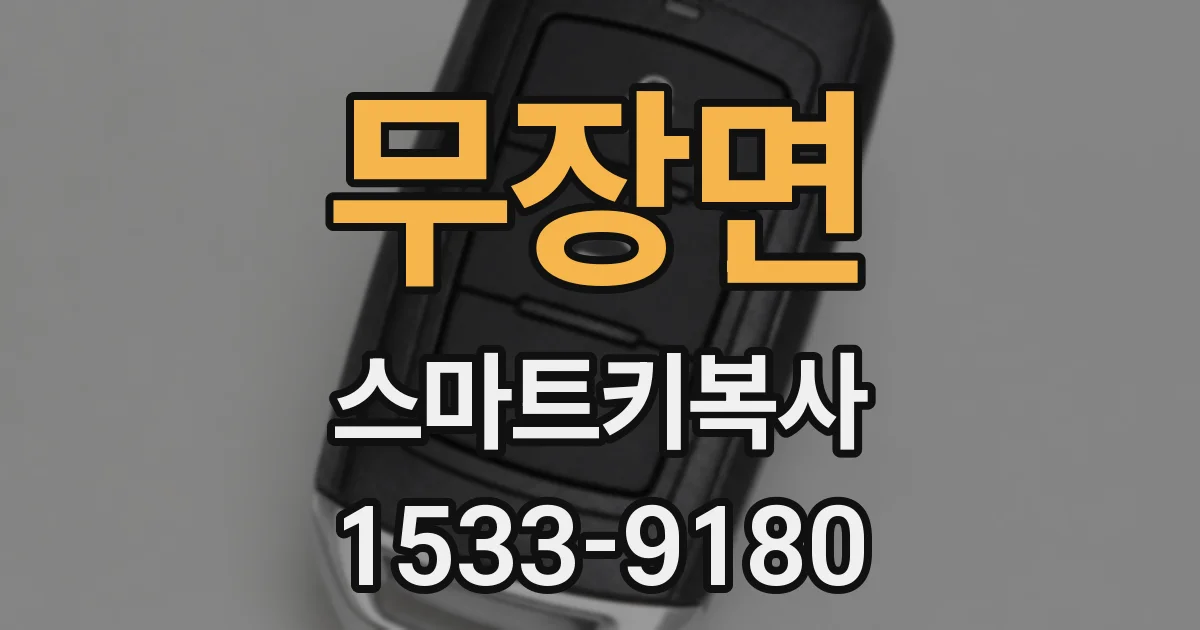무장면 스마트키복사