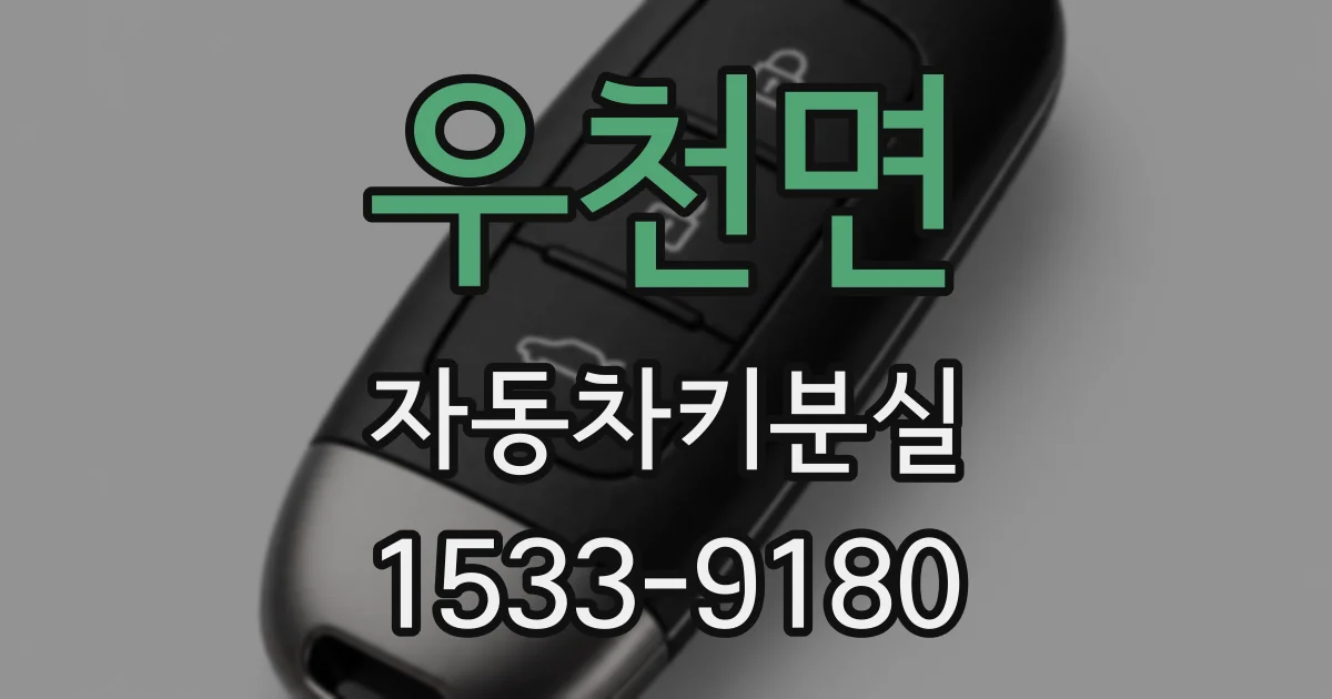 우천면 자동차키분실