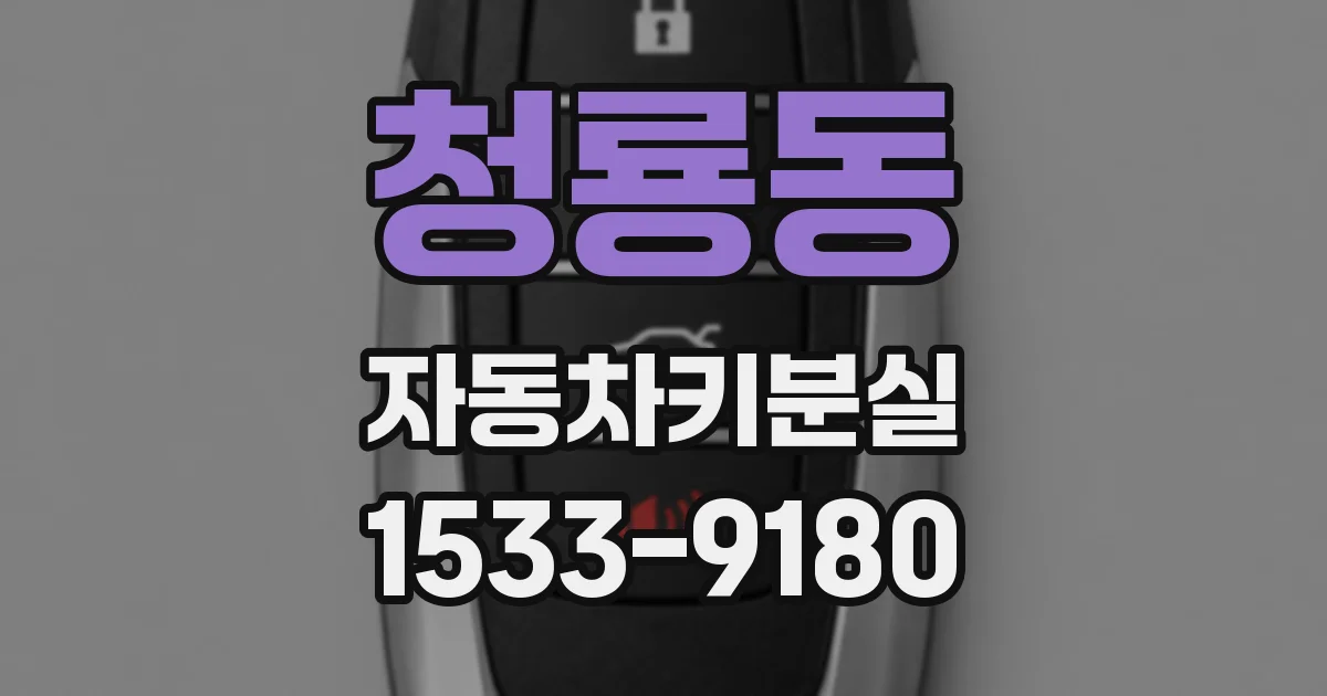 청룡동 자동차키분실