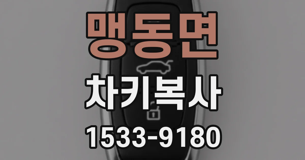 맹동면 차키복사