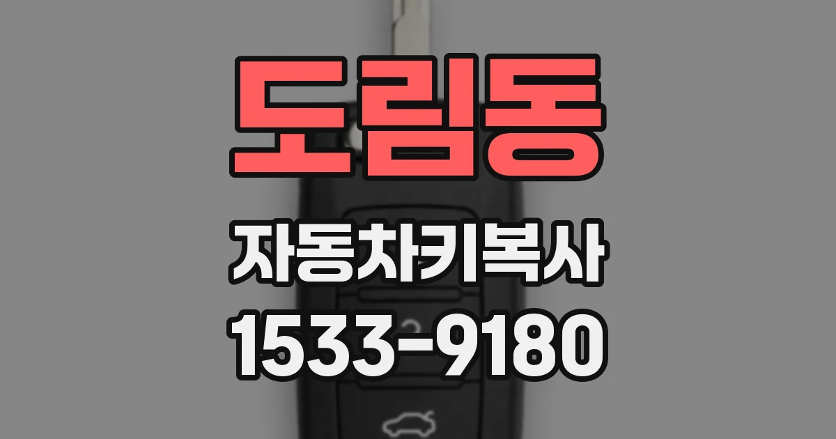도림동 자동차키복사