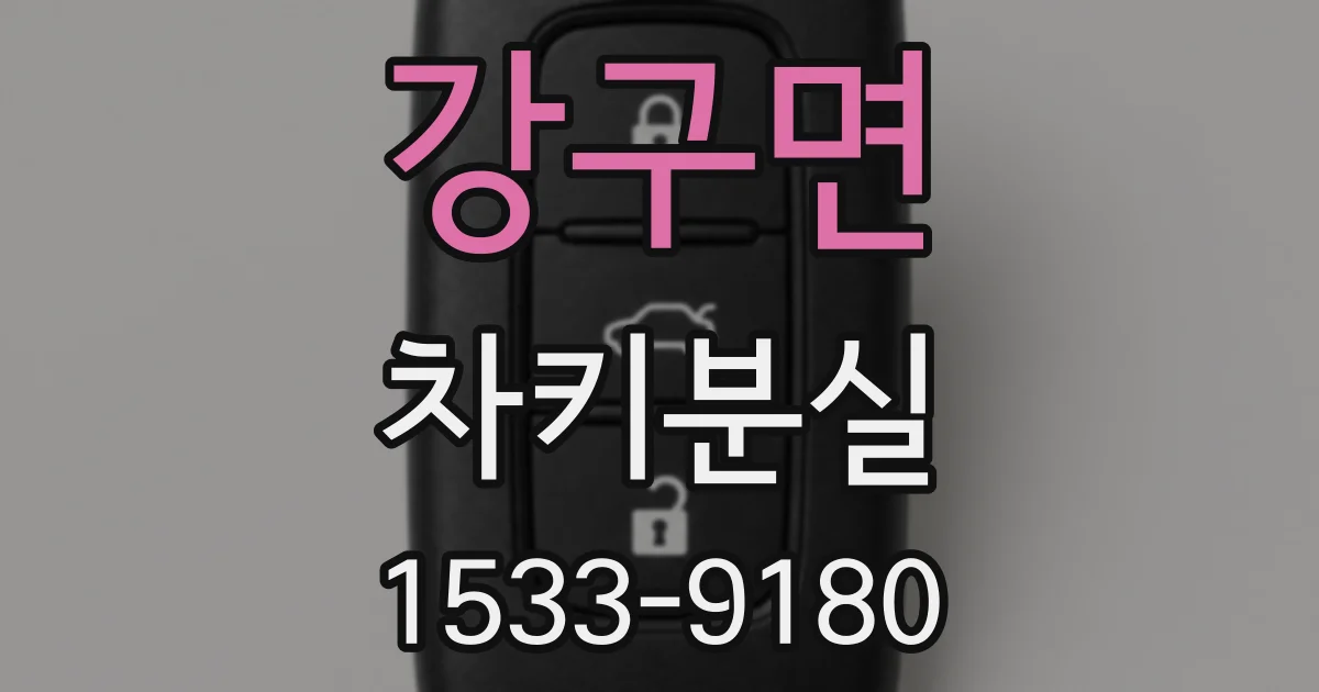 강구면 차키분실