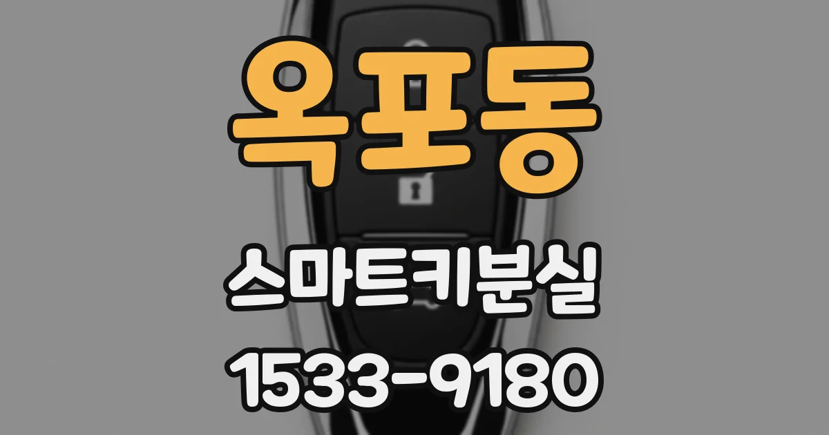 옥포동 스마트키분실
