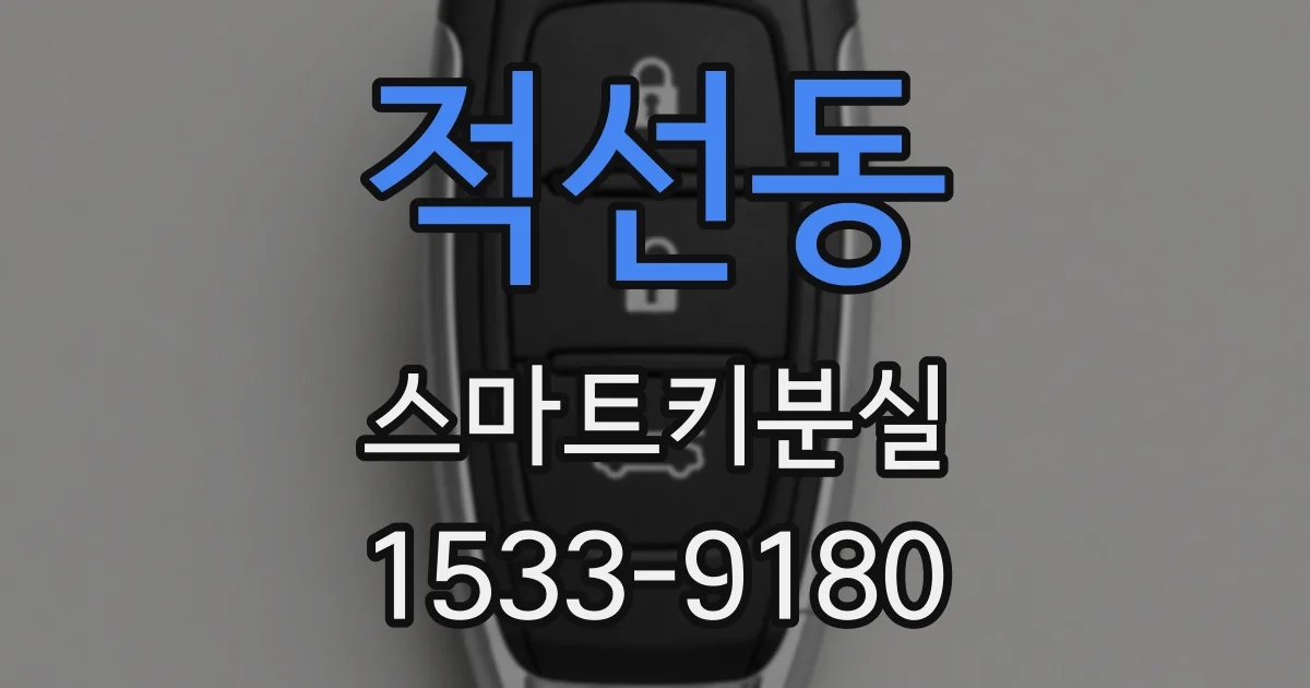 적선동 스마트키분실