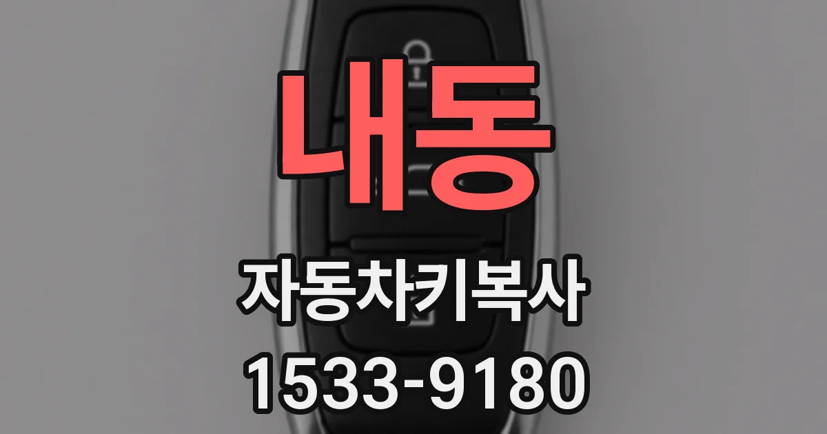 내동 자동차키복사