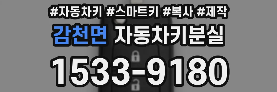 감천면 자동차키분실