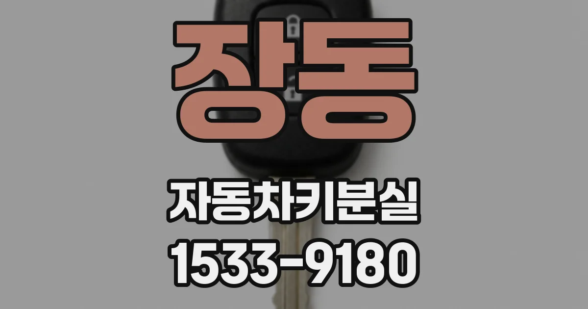 장동 자동차키분실