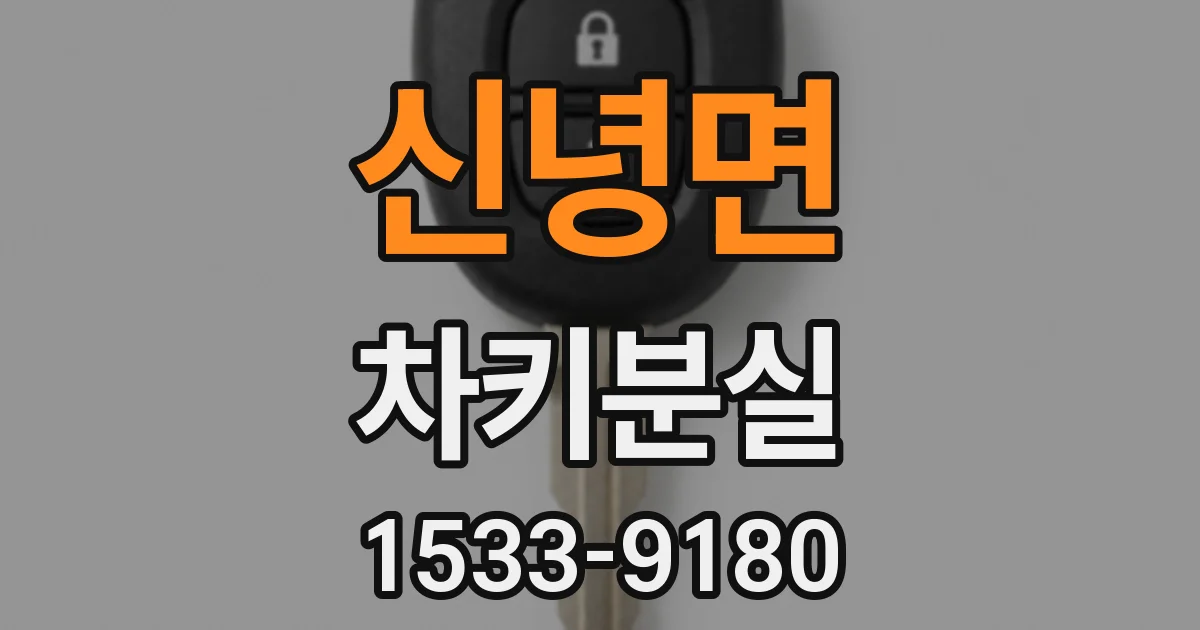 신녕면 차키분실