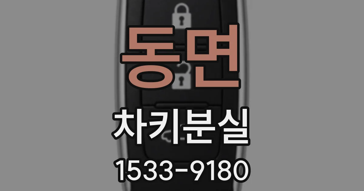동면 차키분실