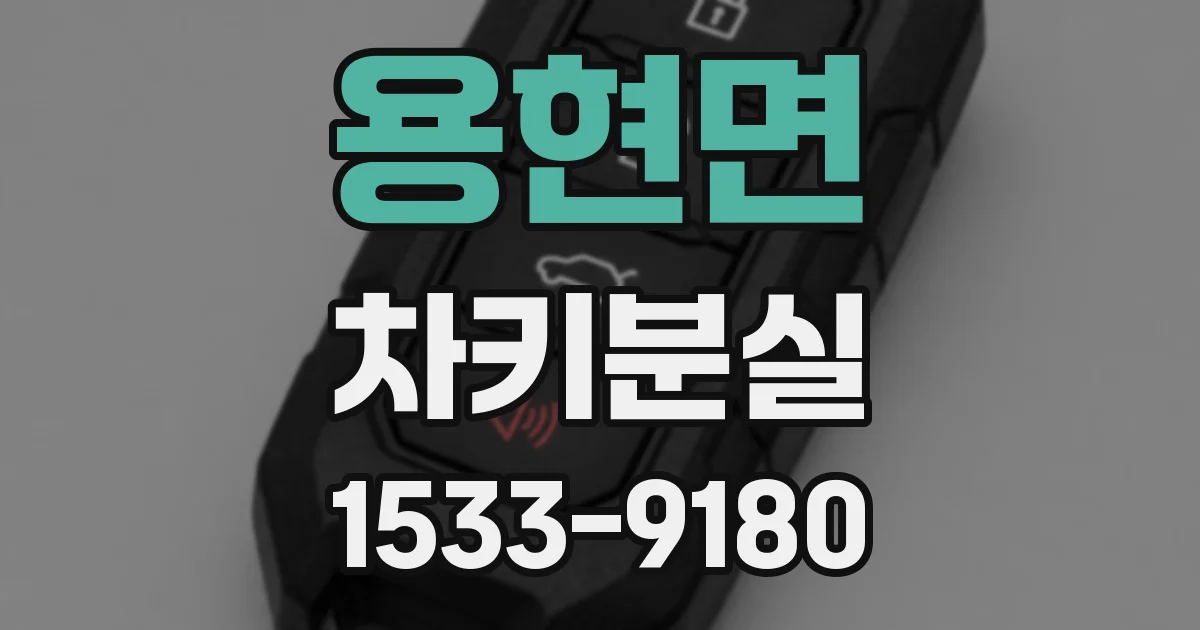 용현면 차키분실