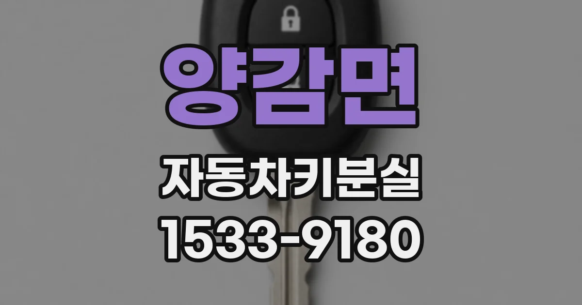 양감면 자동차키분실