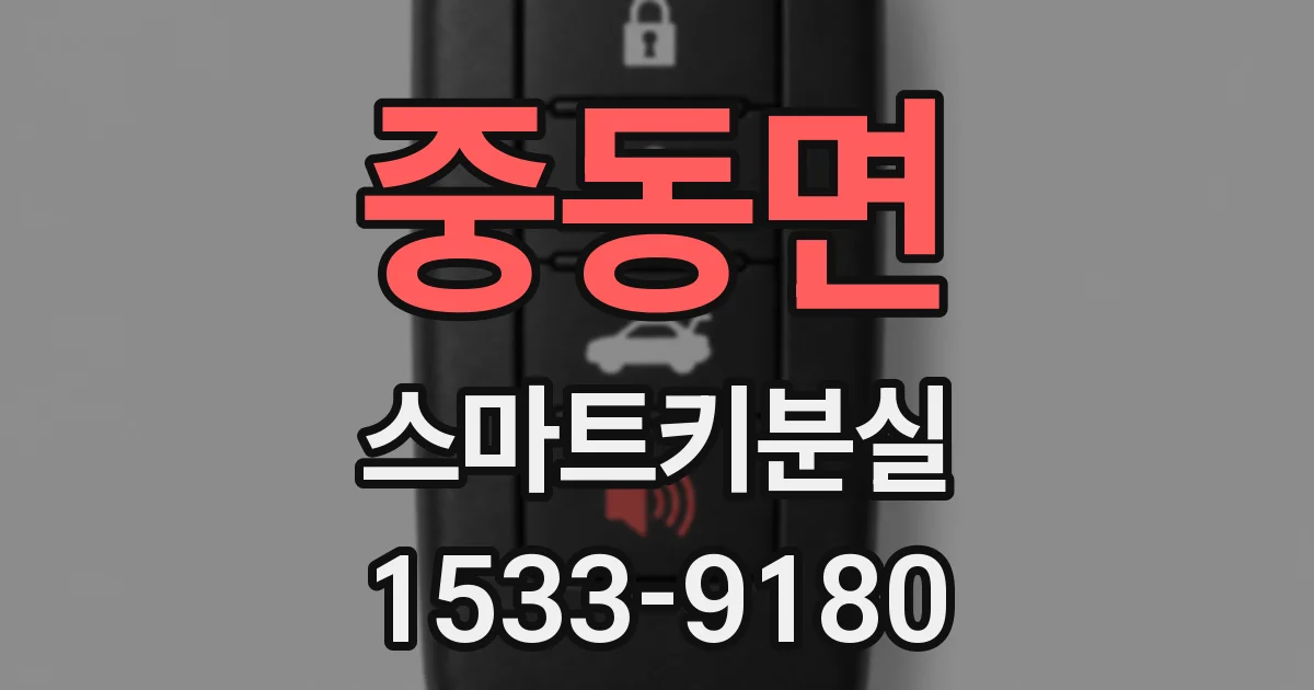 중동면 스마트키분실