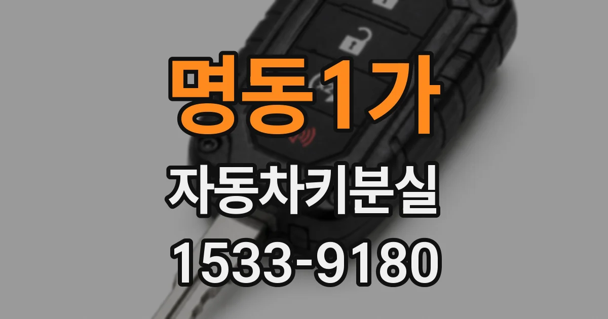 명동1가 자동차키분실