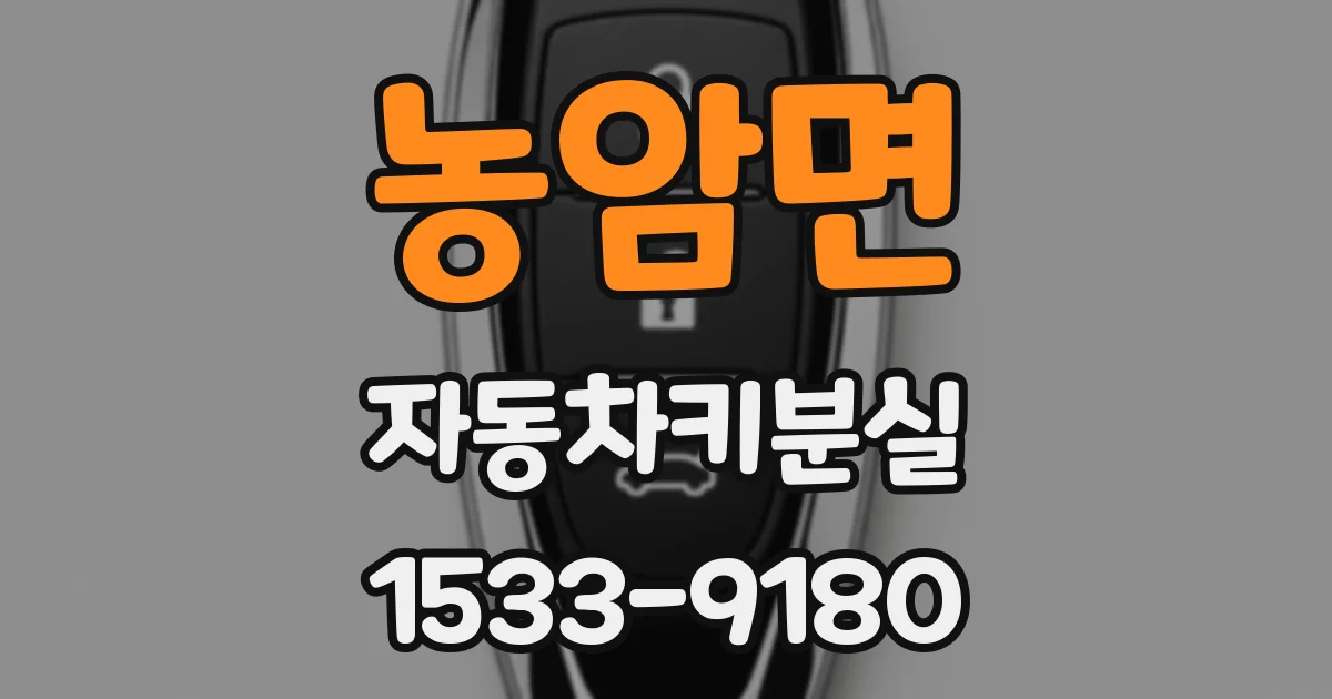 농암면 자동차키분실