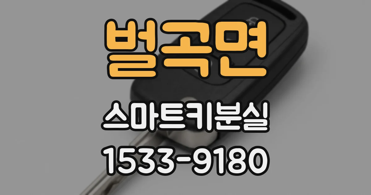 벌곡면 스마트키분실