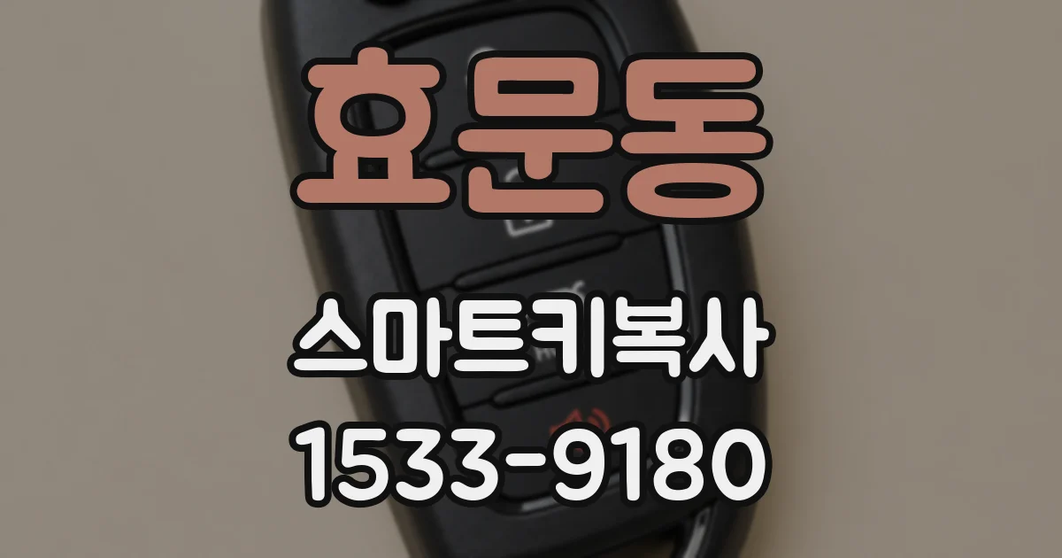효문동 스마트키복사