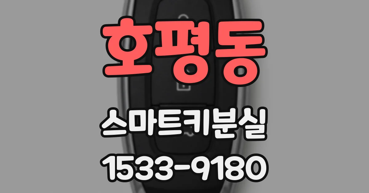 호평동 스마트키분실