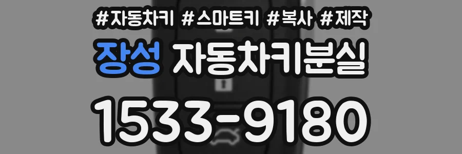 장성 자동차키분실