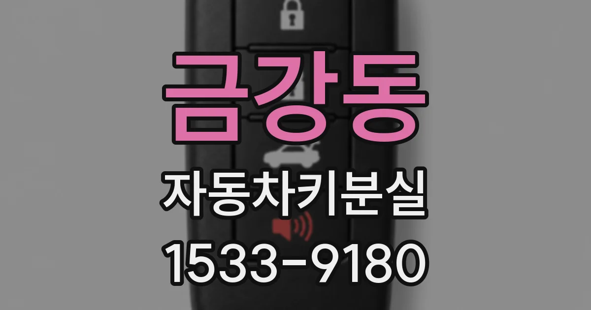 금강동 자동차키분실