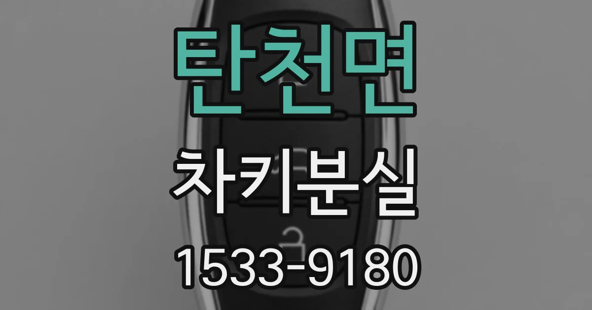 탄천면 차키분실
