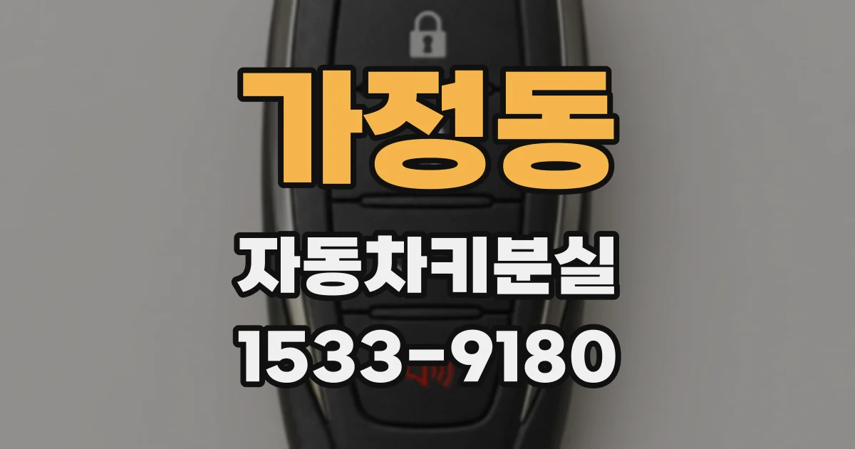 가정동 자동차키분실