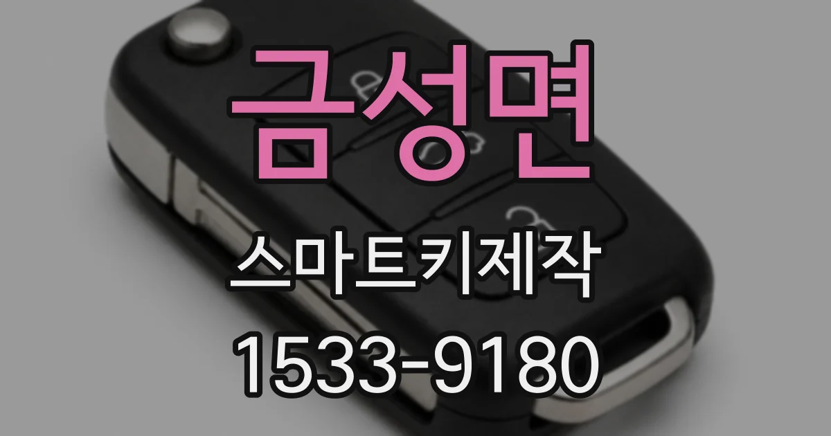 금성면 스마트키제작
