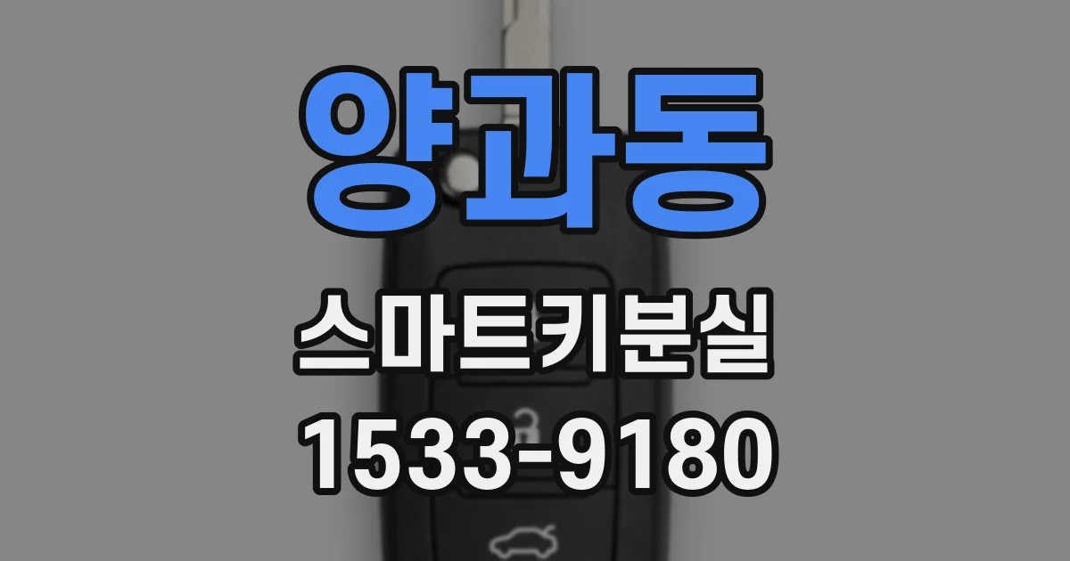 양과동 스마트키분실