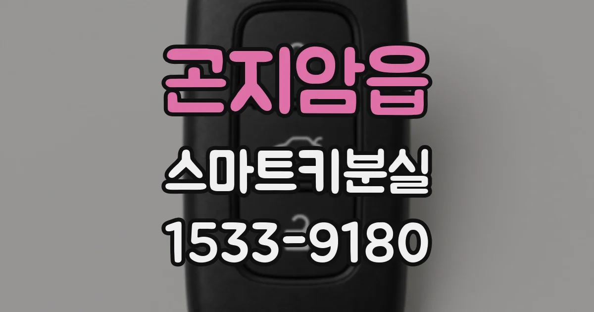 곤지암읍 스마트키분실