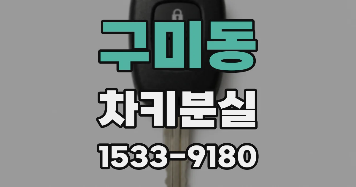 구미동 차키분실