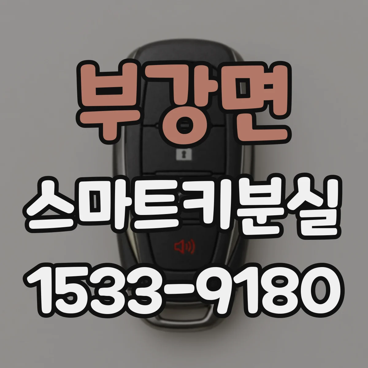 부강면 스마트키분실