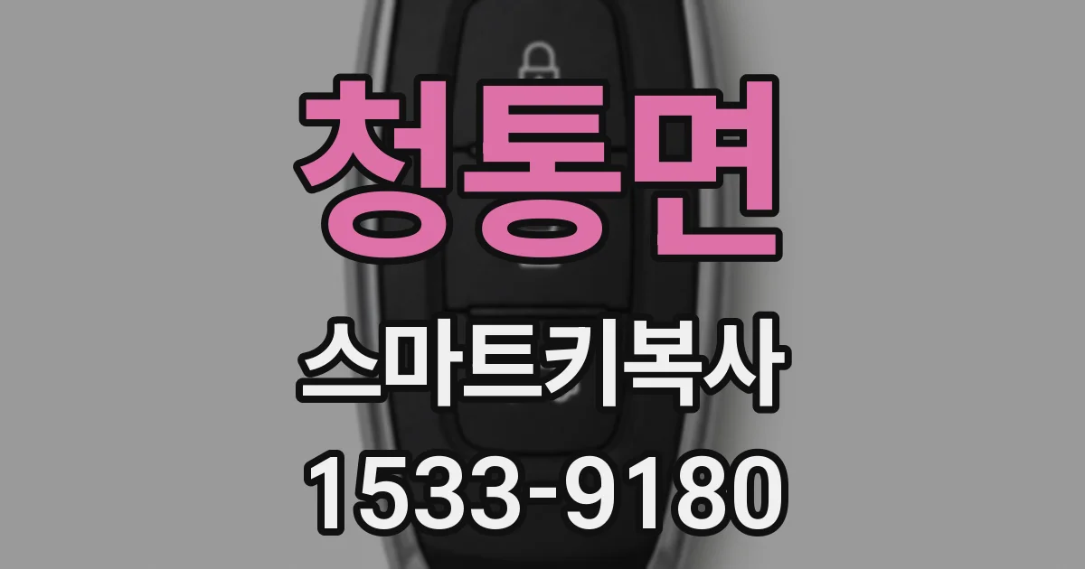 청통면 스마트키복사