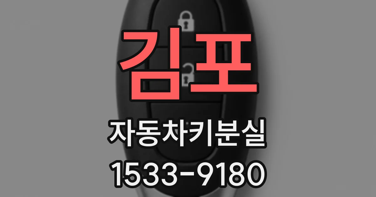 김포 자동차키분실