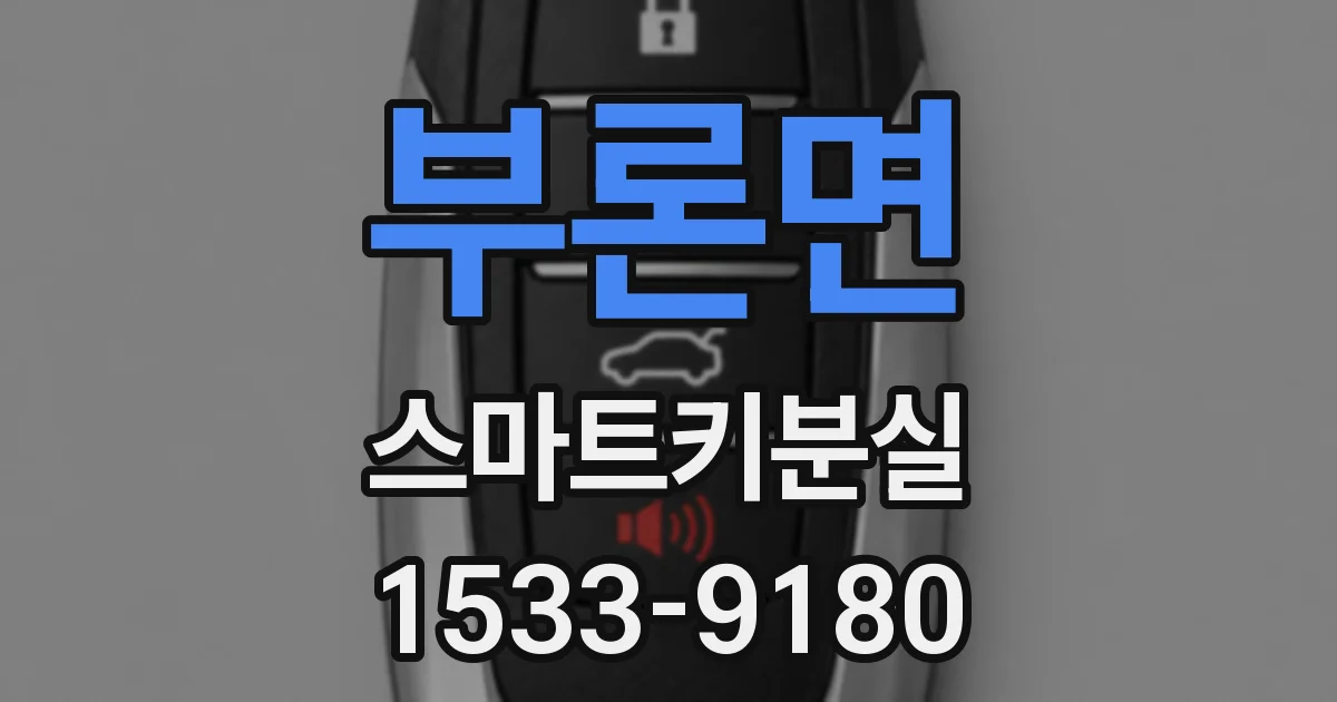 부론면 스마트키분실