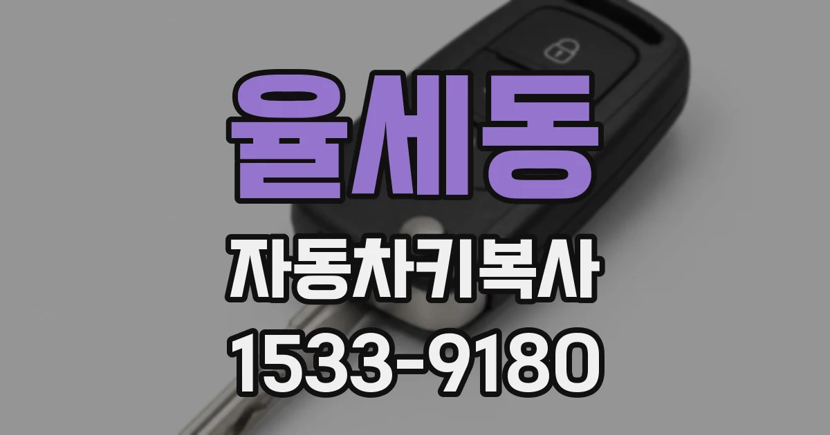 율세동 자동차키복사