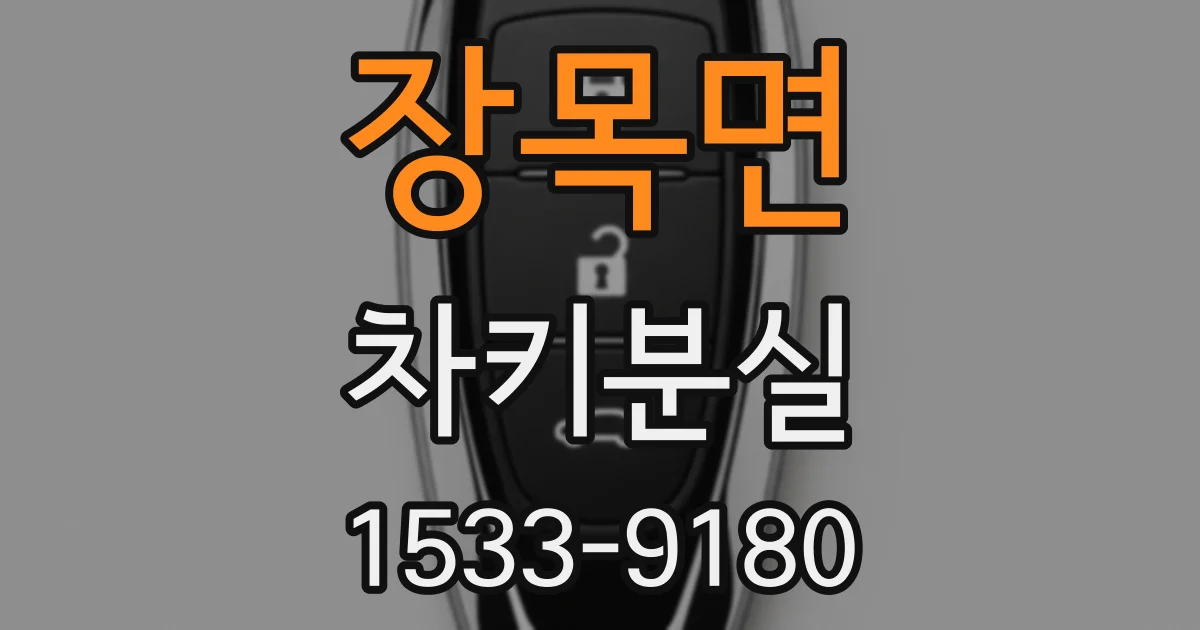 장목면 차키분실