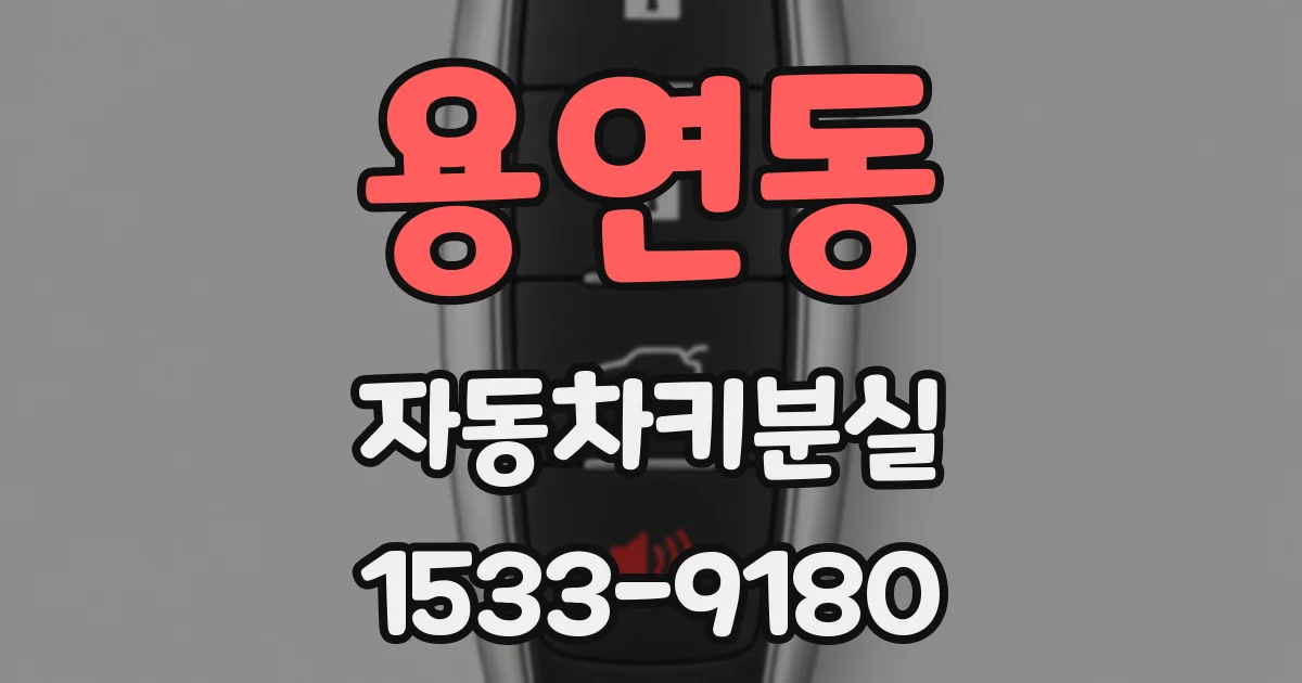 용연동 자동차키분실