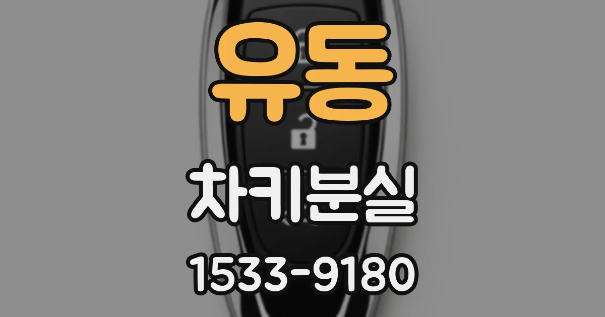 유동 차키분실