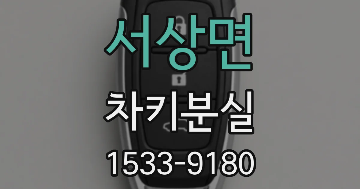 서상면 차키분실