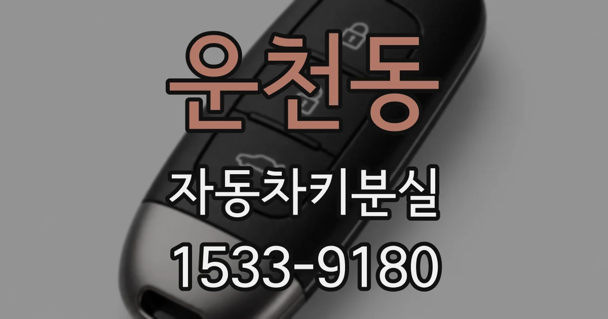 운천동 자동차키분실