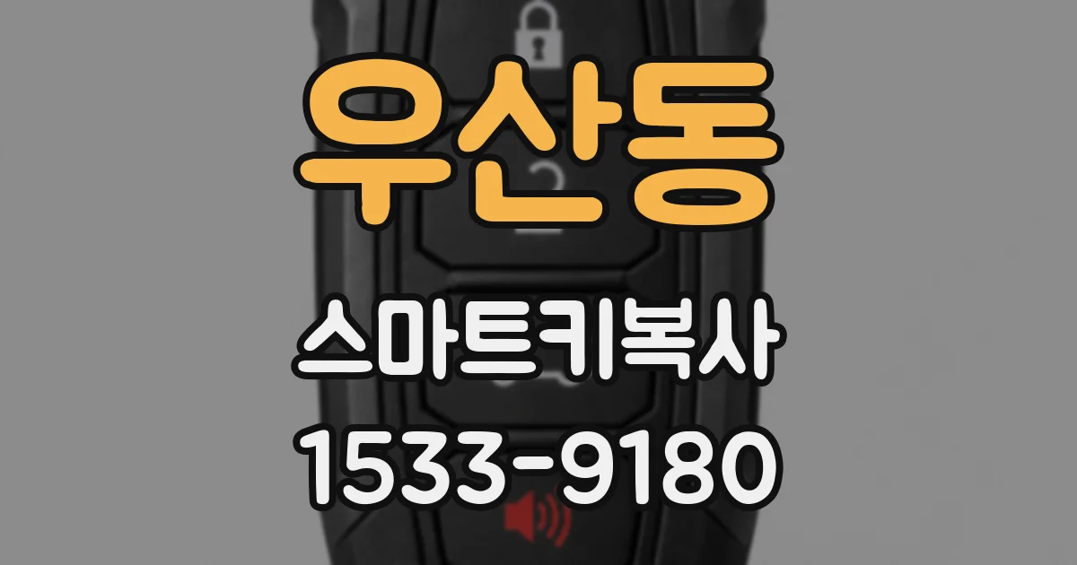 우산동 스마트키복사
