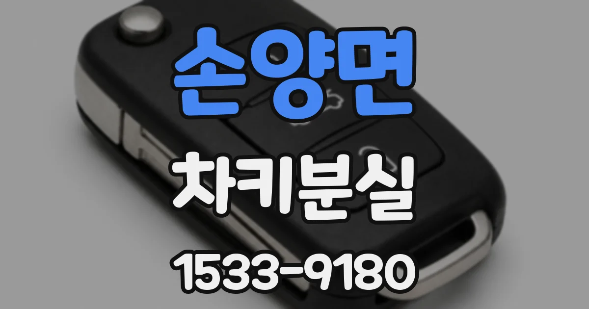 손양면 차키분실
