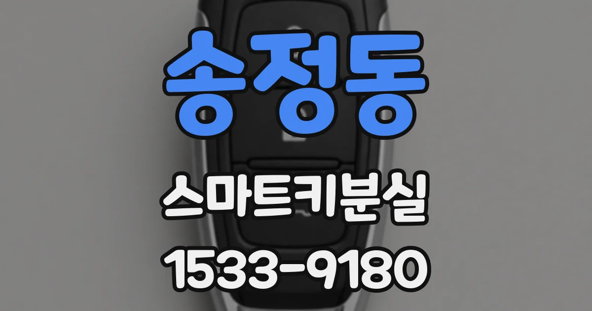 송정동 스마트키분실