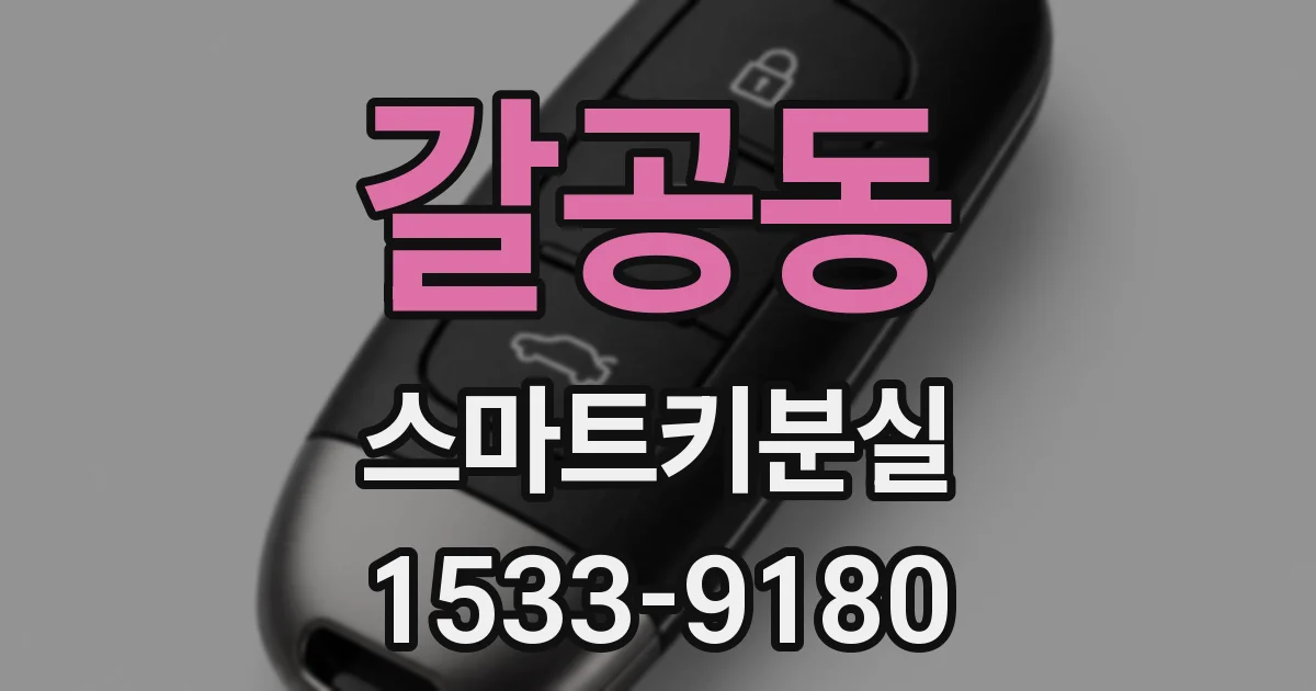 갈공동 스마트키분실