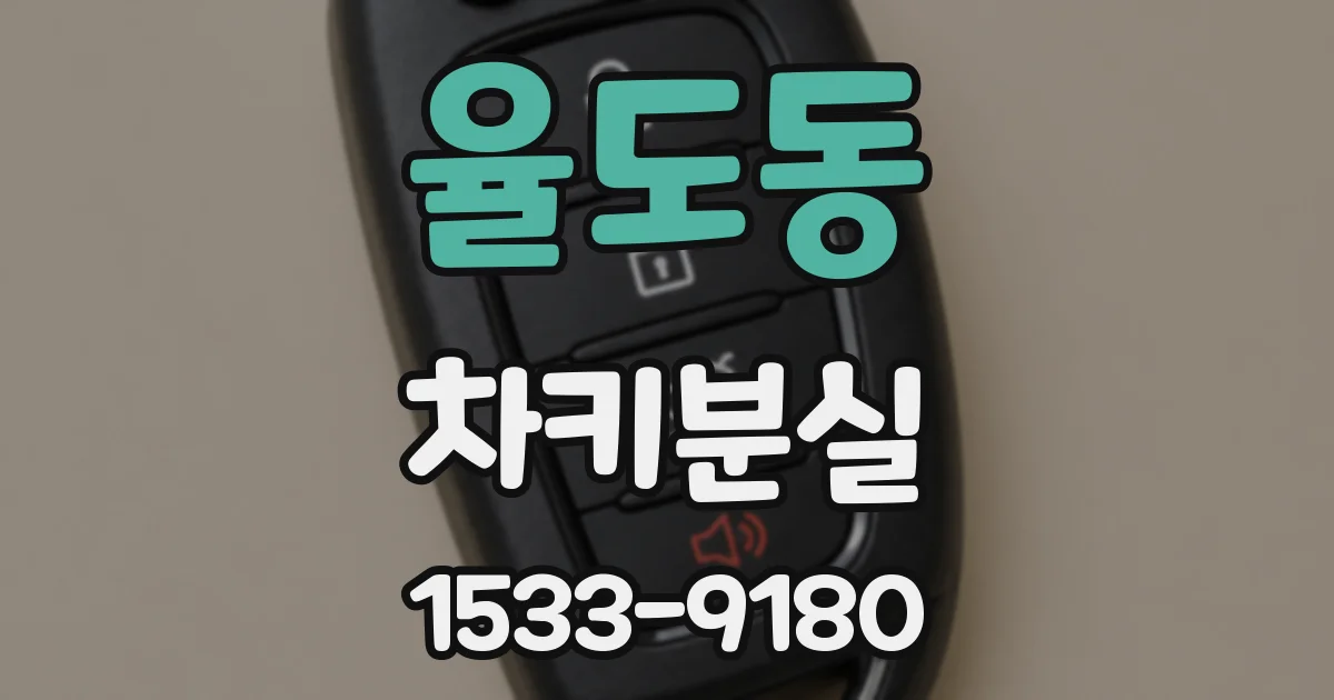율도동 차키분실