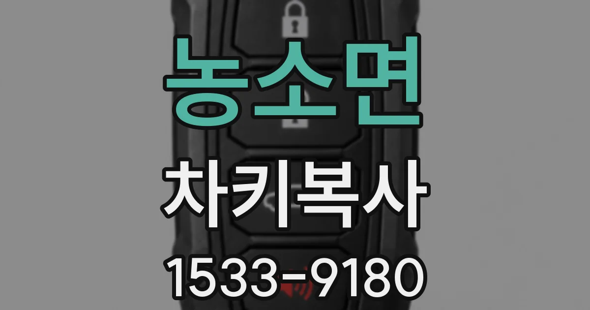 농소면 차키복사