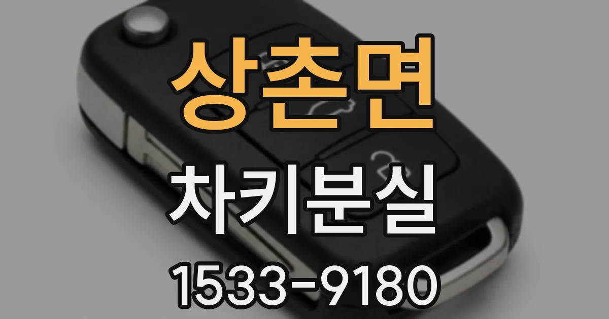 상촌면 차키분실