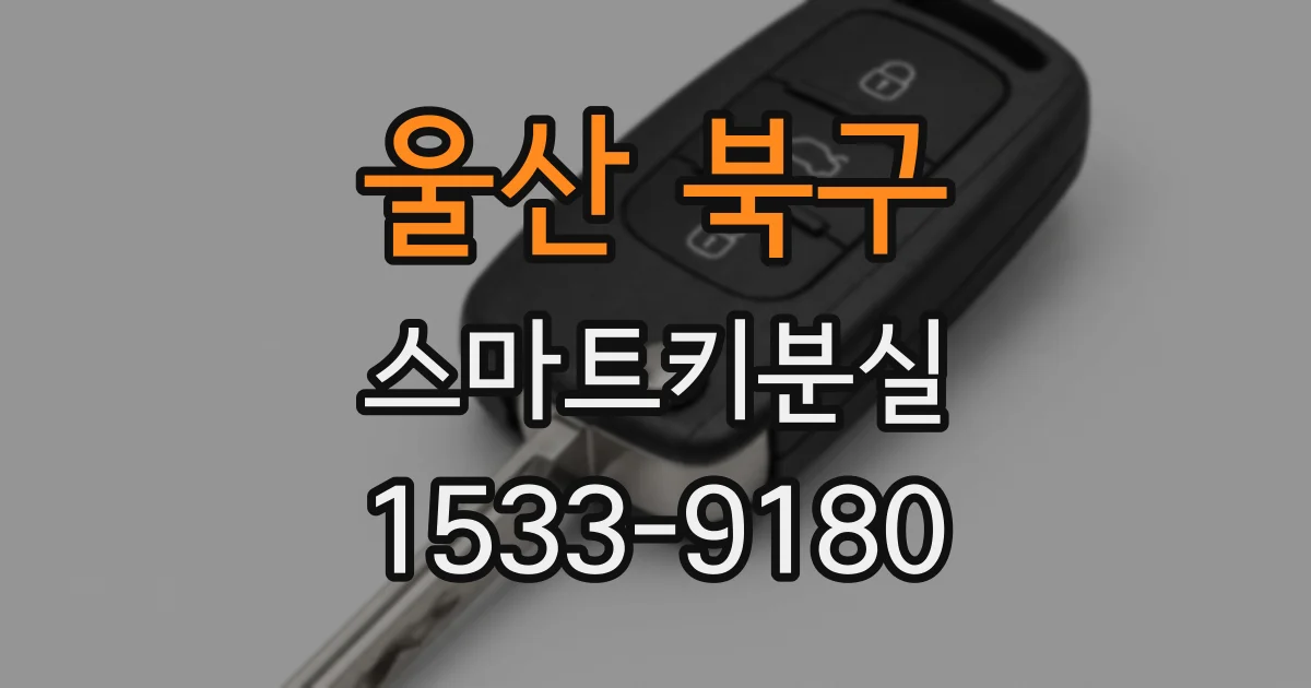 울산 북구 스마트키분실