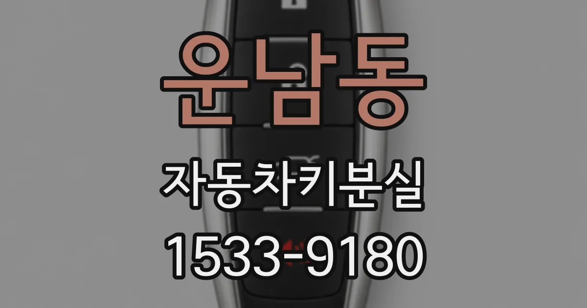 운남동 자동차키분실