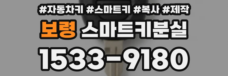 보령 스마트키분실