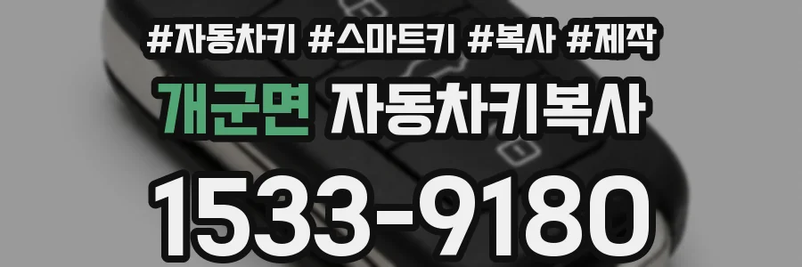 개군면 자동차키복사